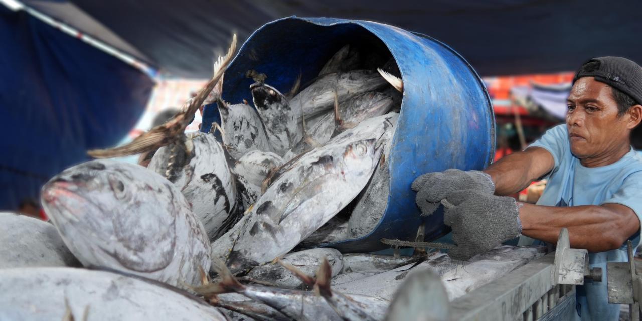 Ini Syarat Produk Perikanan RI Tembus Pasar Internasional